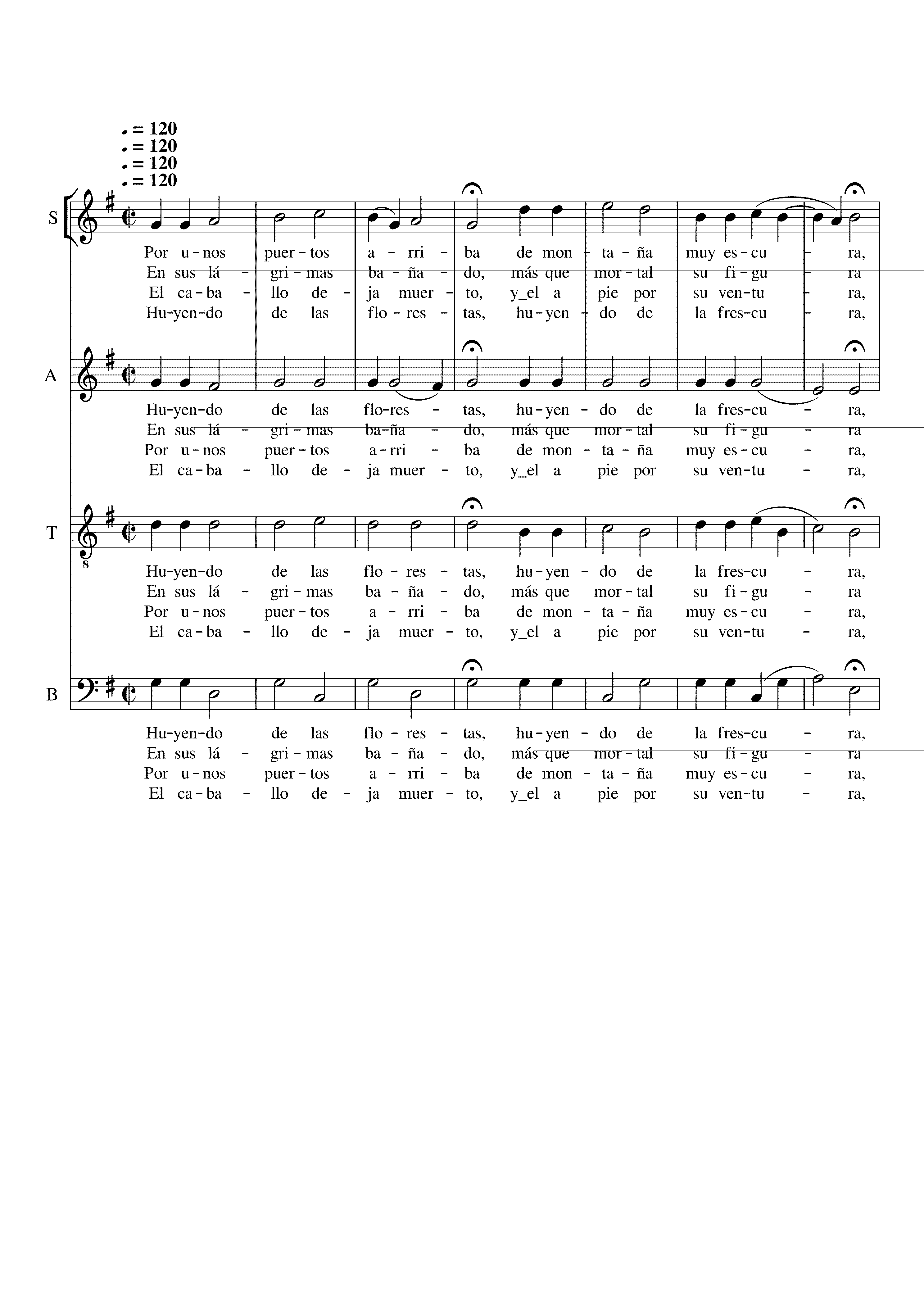 Partitura Por Unos Puertos Arriba